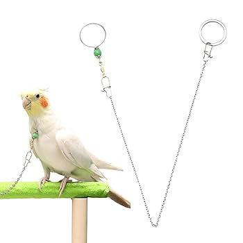 未使用品◎ヴェルサーチ スカーフ 大判ハンカチ インコ オウム 鳥 Amazon | Hitasi 鳥用 エリザベスカラー 首輪 4個セット 鳥類